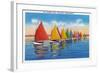 Nantucket, Massachusetts - View of the Rainbow Sailboat Fleet-Lantern Press-Framed Art Print