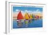 Nantucket, Massachusetts - View of the Rainbow Sailboat Fleet-Lantern Press-Framed Art Print