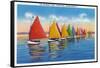 Nantucket, Massachusetts - View of the Rainbow Sailboat Fleet-Lantern Press-Framed Stretched Canvas