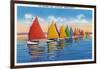 Nantucket, Massachusetts - View of the Rainbow Sailboat Fleet-Lantern Press-Framed Art Print