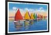 Nantucket, Massachusetts - View of the Rainbow Sailboat Fleet-Lantern Press-Framed Art Print