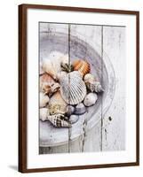 Nantucket Shells I-James Guilliam-Framed Giclee Print