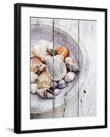 Nantucket Shells I-James Guilliam-Framed Giclee Print