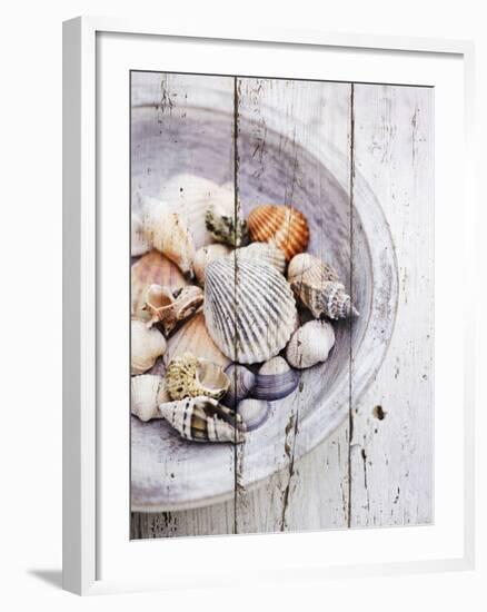 Nantucket Shells I-James Guilliam-Framed Giclee Print