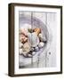 Nantucket Shells I-James Guilliam-Framed Art Print