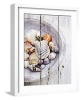 Nantucket Shells I-James Guilliam-Framed Art Print