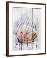 Nantucket Shells II-James Guilliam-Framed Giclee Print