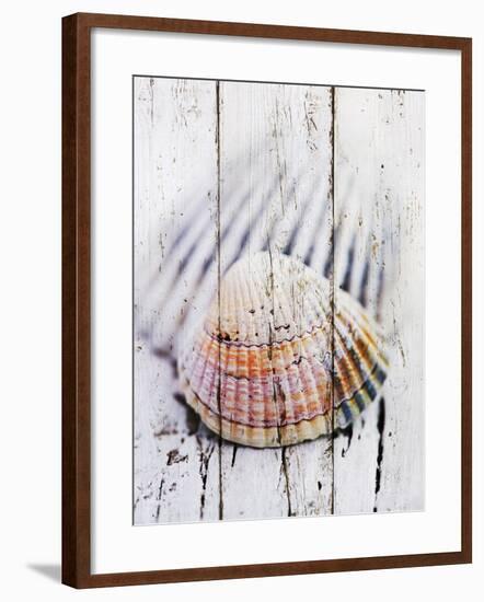 Nantucket Shells II-James Guilliam-Framed Giclee Print