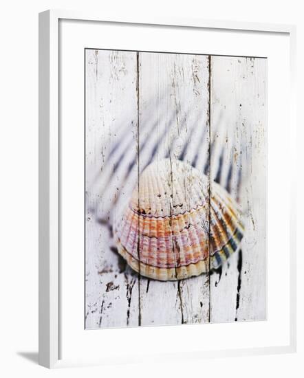Nantucket Shells II-James Guilliam-Framed Giclee Print