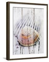 Nantucket Shells II-James Guilliam-Framed Giclee Print