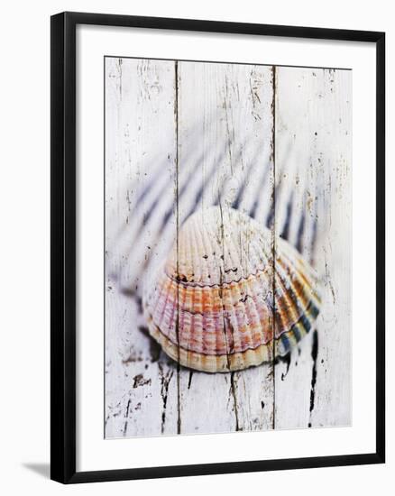 Nantucket Shells II-James Guilliam-Framed Giclee Print