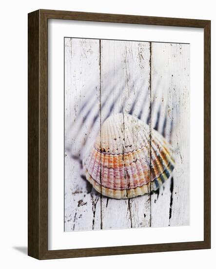 Nantucket Shells II-James Guilliam-Framed Art Print