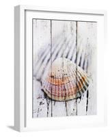 Nantucket Shells II-James Guilliam-Framed Art Print