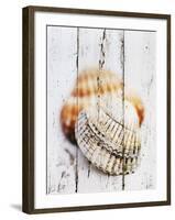 Nantucket Shells III-James Guilliam-Framed Giclee Print