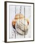 Nantucket Shells III-James Guilliam-Framed Giclee Print