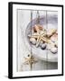 Nantucket Shells IV-James Guilliam-Framed Giclee Print