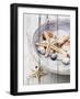 Nantucket Shells IV-James Guilliam-Framed Art Print