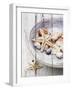 Nantucket Shells IV-James Guilliam-Framed Art Print