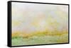 Nantucket Spring-Allan Friedlander-Framed Stretched Canvas