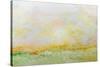 Nantucket Spring-Allan Friedlander-Stretched Canvas