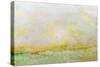 Nantucket Spring-Allan Friedlander-Stretched Canvas