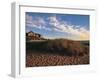 Nantucket Town at Dawn, MA-Walter Bibikow-Framed Photographic Print