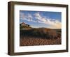 Nantucket Town at Dawn, MA-Walter Bibikow-Framed Photographic Print