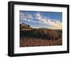 Nantucket Town at Dawn, MA-Walter Bibikow-Framed Photographic Print