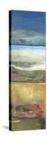 Nantucket Vistas I-Marlene Lenker-Stretched Canvas