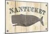 Nantucket Whale-Avery Tillmon-Mounted Art Print