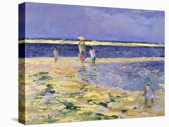 Nantucket-Sarah Butterfield-Stretched Canvas