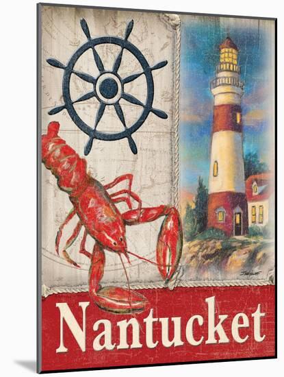 Nantucket-Todd Williams-Mounted Art Print