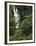 Nanue Falls, Alexandra Palms and African Tulip Trees, Hawaii, USA-Stuart Westmorland-Framed Premium Photographic Print