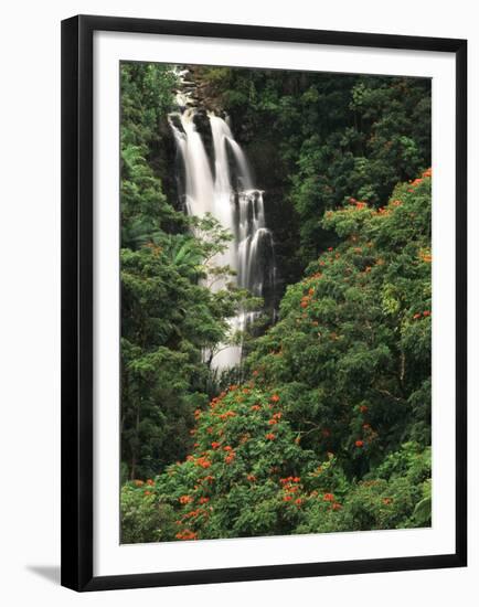 Nanue Falls, Alexandra Palms and African Tulip Trees, Hawaii, USA-Stuart Westmorland-Framed Premium Photographic Print