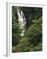 Nanue Falls, Alexandra Palms and African Tulip Trees, Hawaii, USA-Stuart Westmorland-Framed Premium Photographic Print