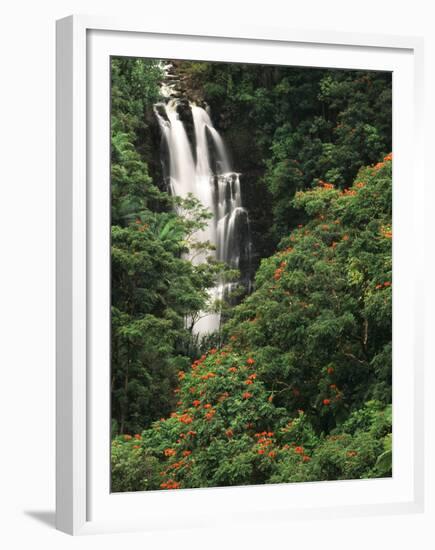 Nanue Falls, Alexandra Palms and African Tulip Trees, Hawaii, USA-Stuart Westmorland-Framed Premium Photographic Print