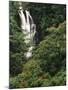 Nanue Falls, Alexandra Palms and African Tulip Trees, Hawaii, USA-Stuart Westmorland-Mounted Premium Photographic Print