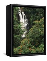 Nanue Falls, Alexandra Palms and African Tulip Trees, Hawaii, USA-Stuart Westmorland-Framed Stretched Canvas