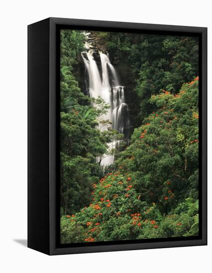 Nanue Falls, Alexandra Palms and African Tulip Trees, Hawaii, USA-Stuart Westmorland-Framed Stretched Canvas