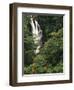 Nanue Falls, Alexandra Palms and African Tulip Trees, Hawaii, USA-Stuart Westmorland-Framed Photographic Print