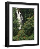 Nanue Falls, Alexandra Palms and African Tulip Trees, Hawaii, USA-Stuart Westmorland-Framed Photographic Print