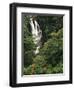 Nanue Falls, Alexandra Palms and African Tulip Trees, Hawaii, USA-Stuart Westmorland-Framed Photographic Print