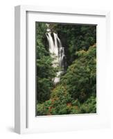 Nanue Falls, Alexandra Palms and African Tulip Trees, Hawaii, USA-Stuart Westmorland-Framed Photographic Print