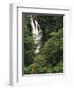 Nanue Falls, Alexandra Palms and African Tulip Trees, Hawaii, USA-Stuart Westmorland-Framed Photographic Print