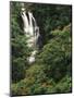 Nanue Falls, Alexandra Palms and African Tulip Trees, Hawaii, USA-Stuart Westmorland-Mounted Photographic Print