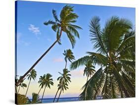 Nanuku Levu, Fiji Islands Palm Trees with Coconuts, Fiji, South Pacific, Oceania-Miva Stock-Stretched Canvas