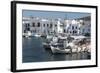 Naoussa Harbour, Paros, Cyclades, Greek Islands, Greece-Rolf Richardson-Framed Photographic Print