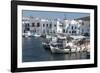 Naoussa Harbour, Paros, Cyclades, Greek Islands, Greece-Rolf Richardson-Framed Photographic Print