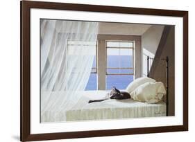 Nap Time-Zhen-Huan Lu-Framed Giclee Print