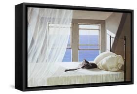 Nap Time-Zhen-Huan Lu-Framed Stretched Canvas